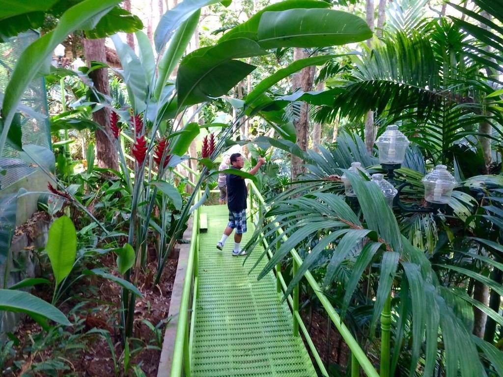 Phu Pha Nam Resort Dan Sai Ngoại thất bức ảnh