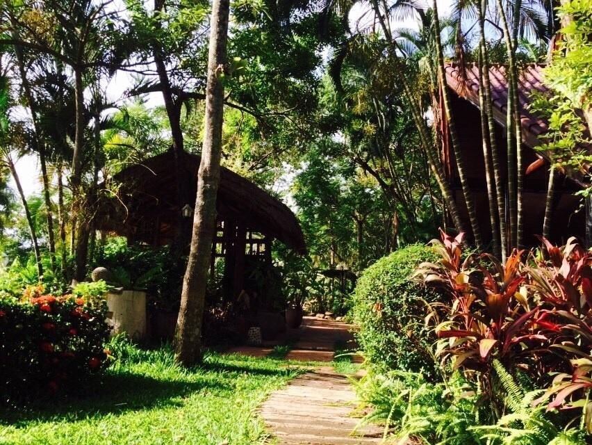 Phu Pha Nam Resort Dan Sai Ngoại thất bức ảnh